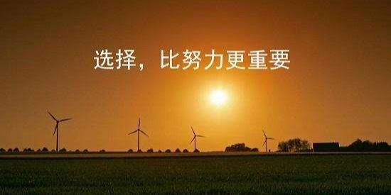 選擇比努力更重要